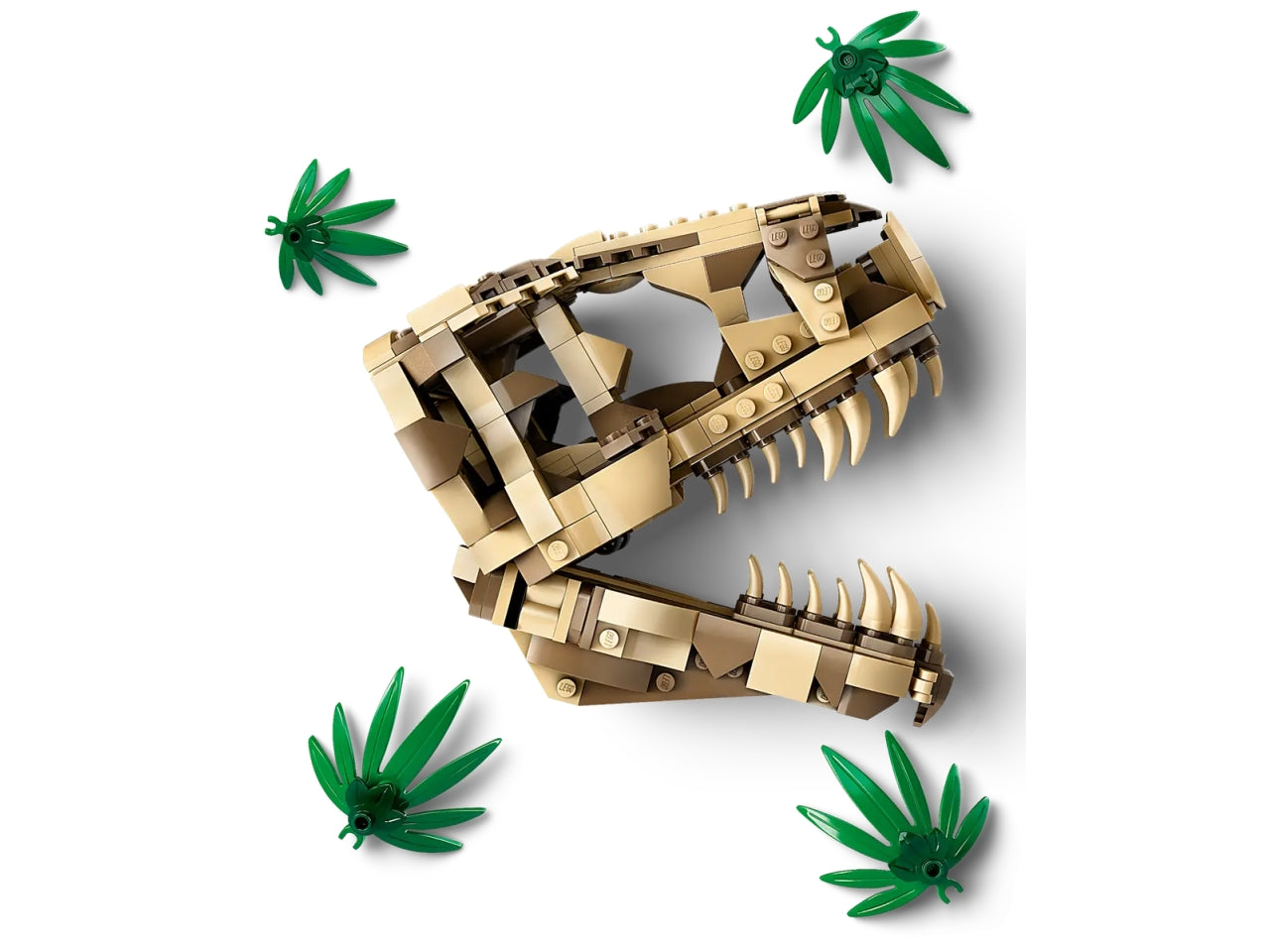 Lego jurassic world fossili di dinosauro: teschio di t.rex