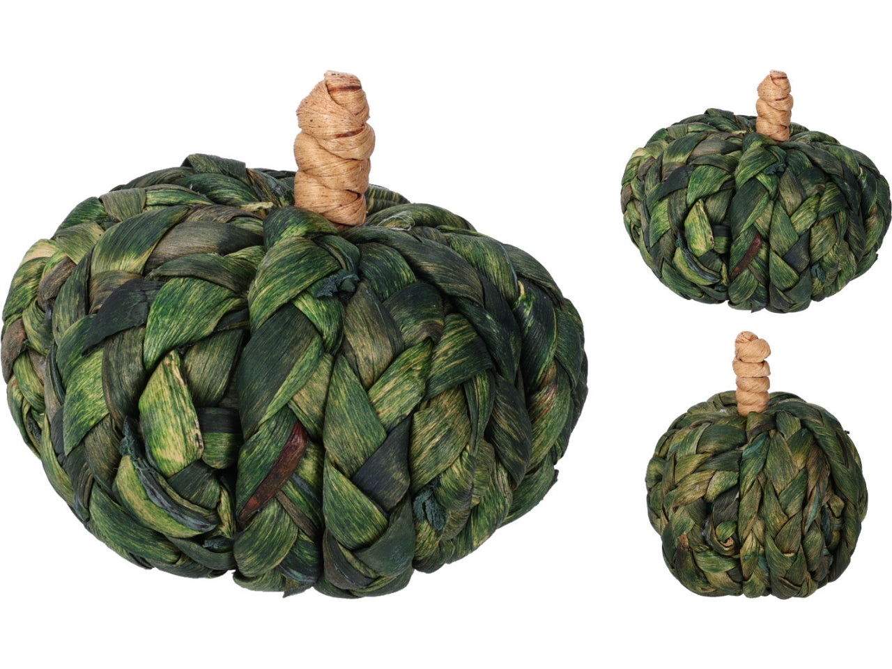 Zucca verde 7cm in 2 assortimenti