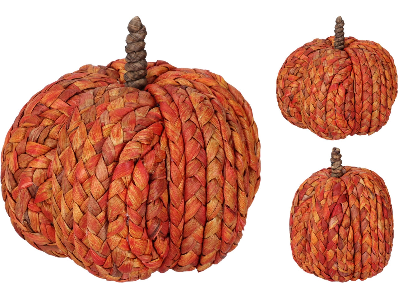 Zucca arancione 15cm in 2 assortimenti