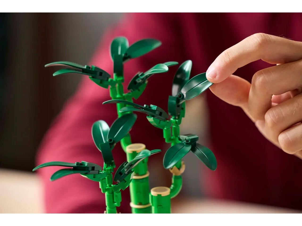 Lego Botanicals bambù del buon auspicio 325 pezzi per età 18+ 10344