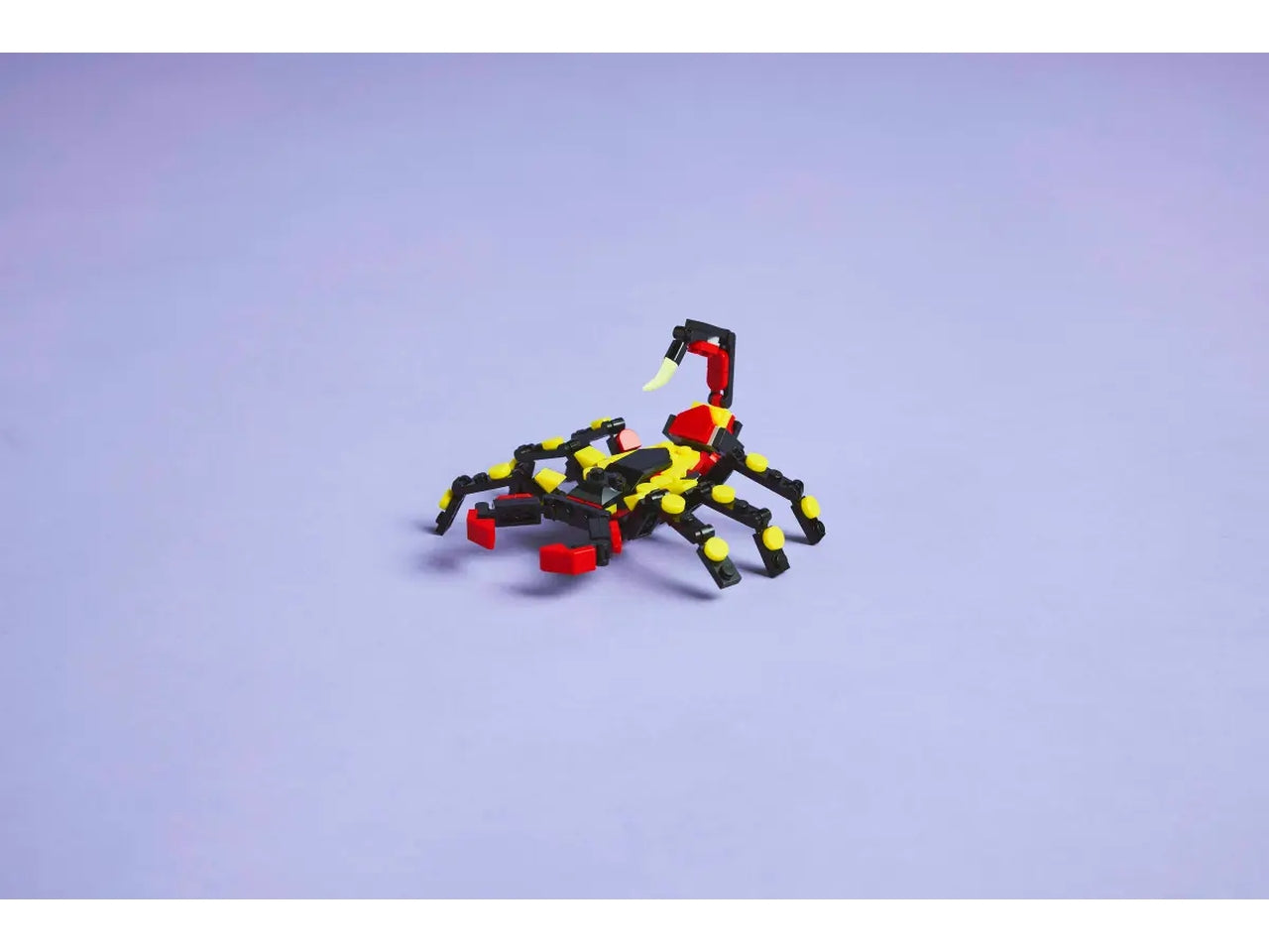 Lego Creator animali selvatici: ragno trasformista 153 pezzi per età 7+ 31159