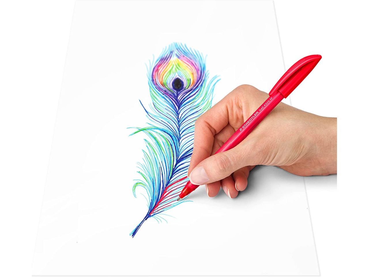 Penna a sfera colorata , la confezione contiene 10 pezzi