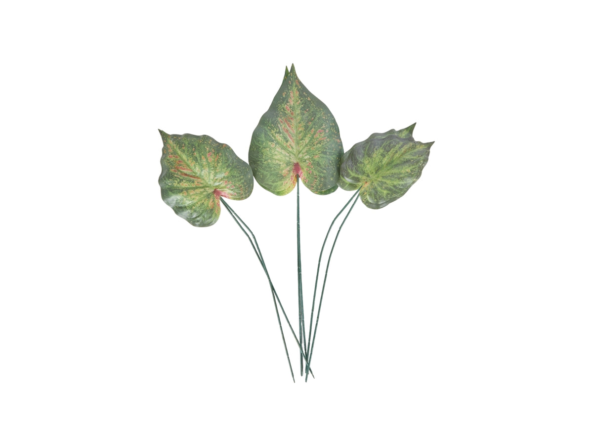 Rami foglie di caladio artificiale verde 6 pezzi -62 cm - Arpimex