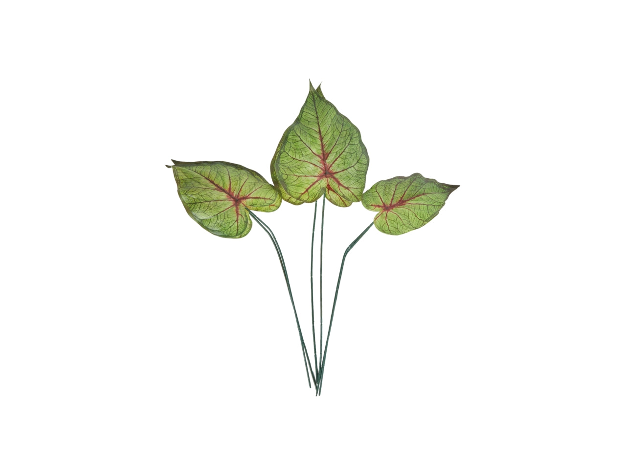 Rami foglie di caladio artificiale verde 6 pezzi -62 cm - Arpimex