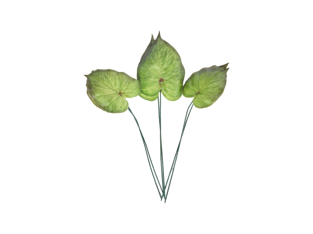 Rami di Alocasia artificiale verde 6 foglie assortite -62 cm - Arpimex