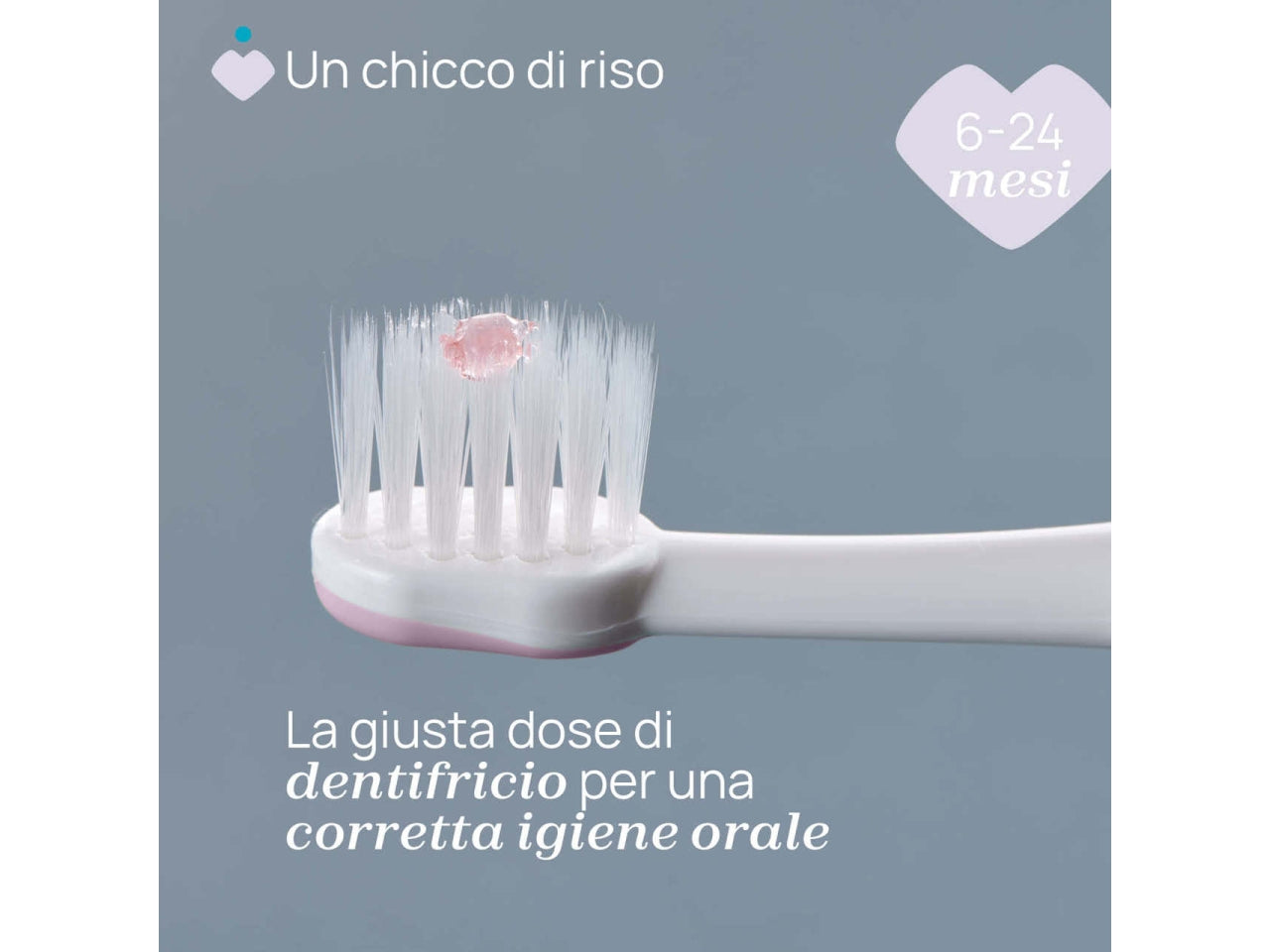 Spazzolino primi denti Oral Care Chicco con setole ultra morbide e impugnatura ergonomica colore lilla, 6-36 mesi