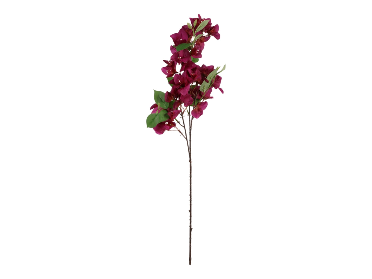 Ramo boungaville 78cm viola