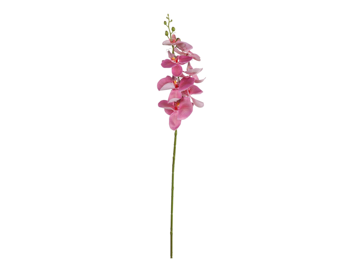 Ramo di phalaenopsis 85cm beauty