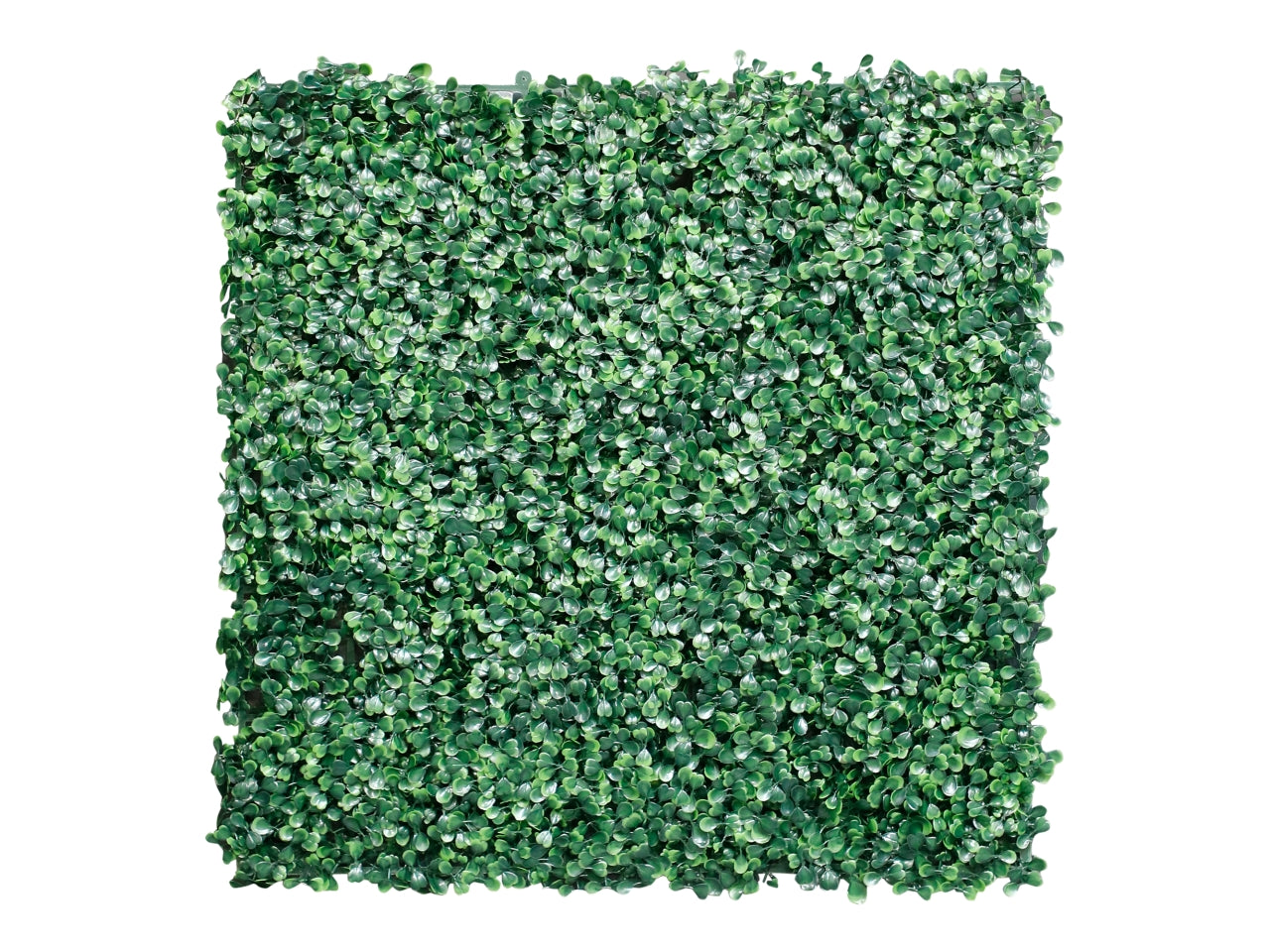 Siepe artificiale in plastica 50x50cm
