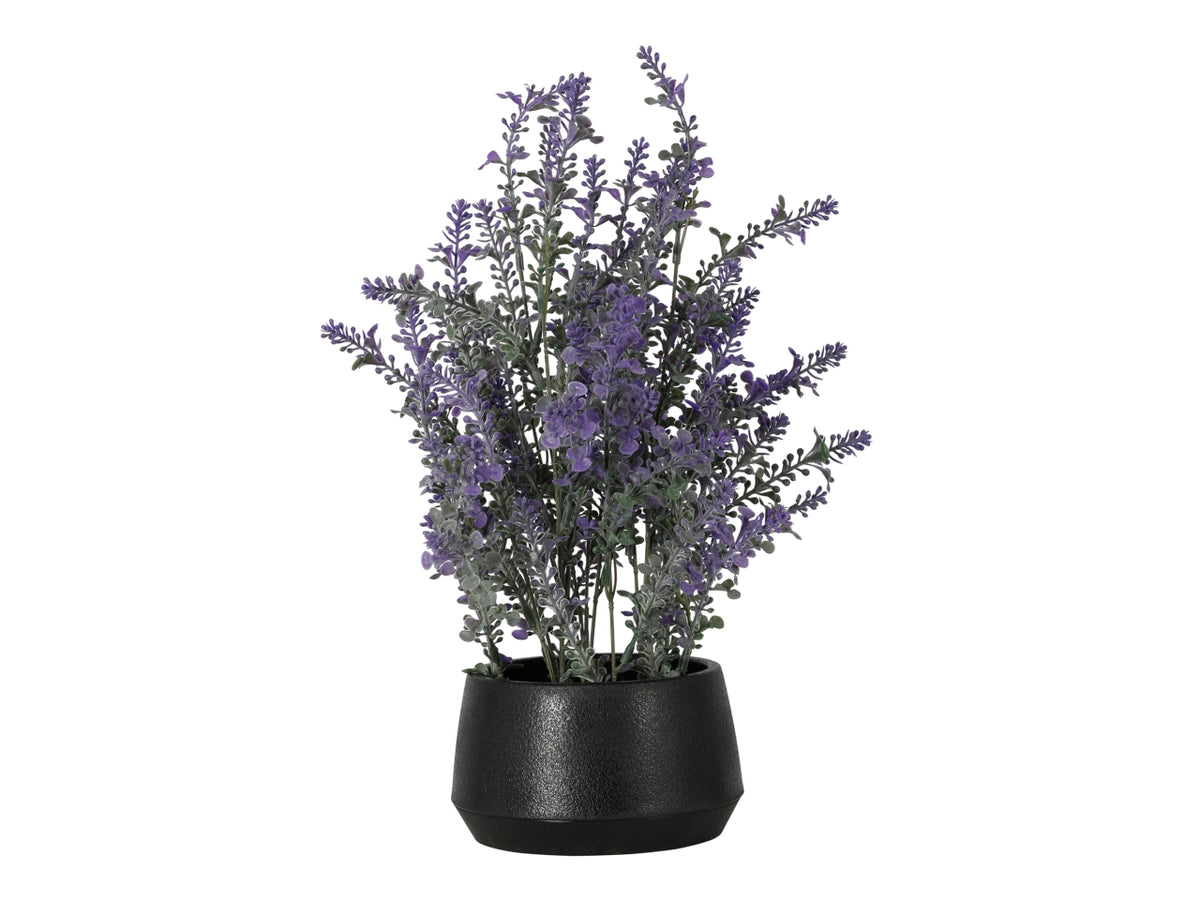 Vaso con lavanda