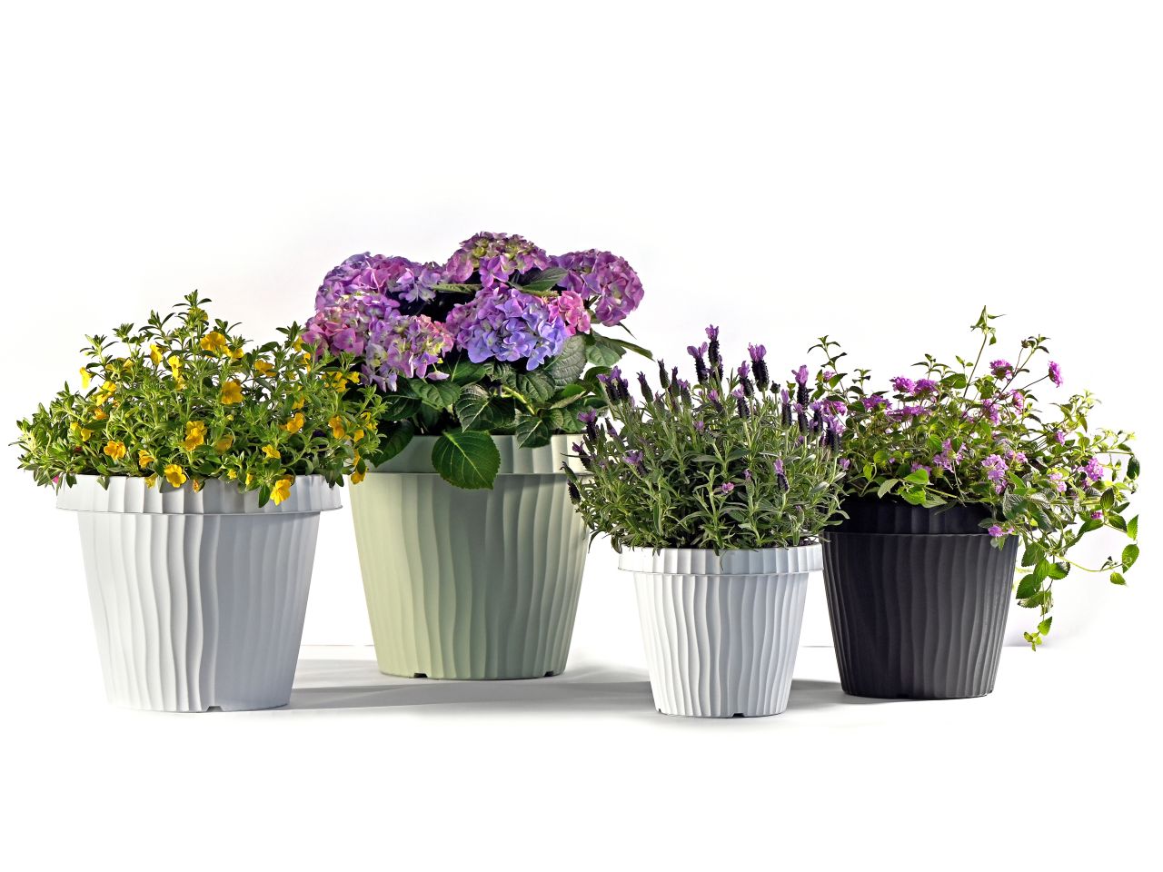 Vaso onda d.40cm colore ghiaccio