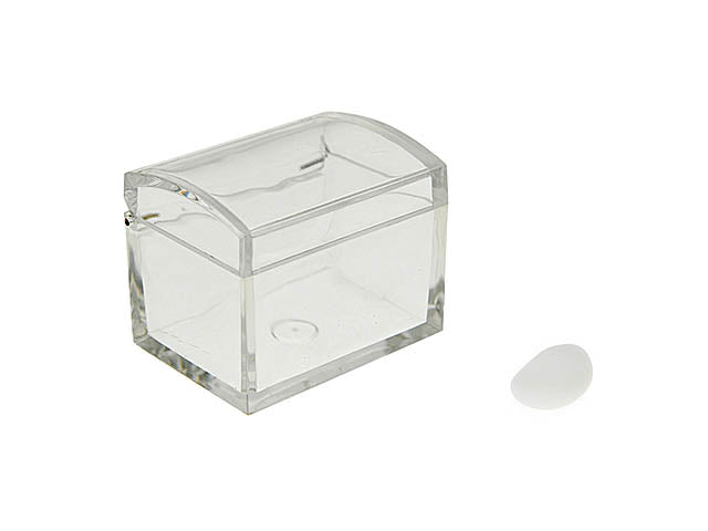 Bauletto plex trasparente 1001009