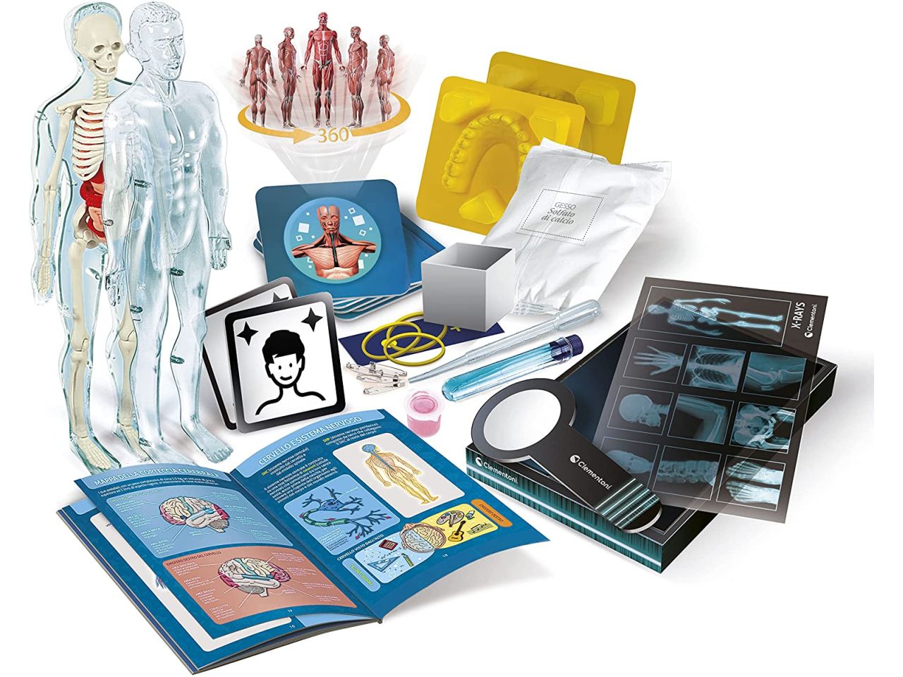 Clementoni Anatomia