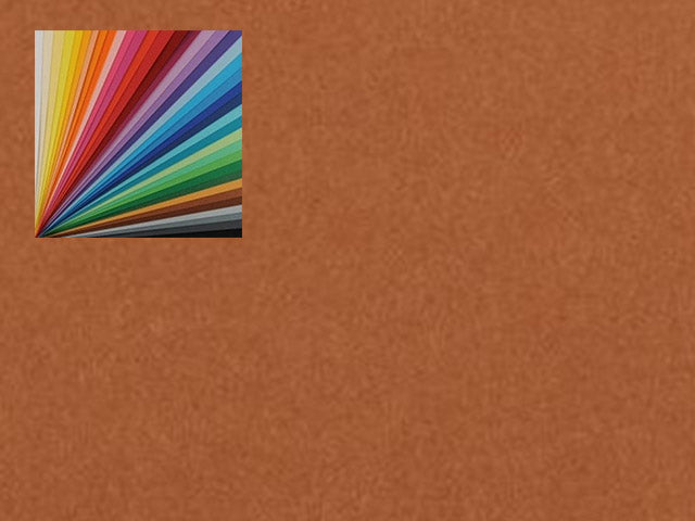 Cartoncino rigido colorato canson nocciola 50x70 cm 220 gr