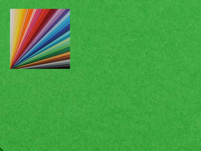 Cartoncino rigido colorato canson verde 50x70 cm 220 gr