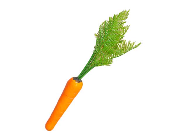 Carota 33x3x3cm 1mme1
