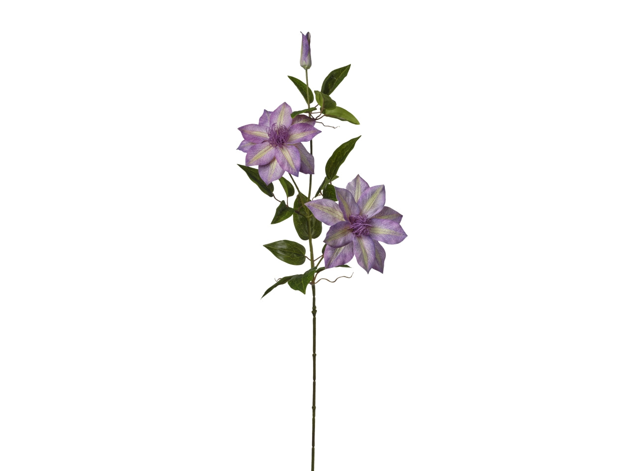 Ramo con 3 clematis 22x86cm viola scuro