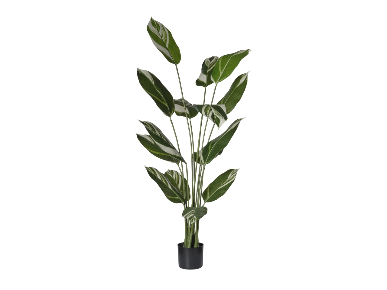 Pianta Calatea artificiale con vaso fondo cemento da interno 150cm - Conti