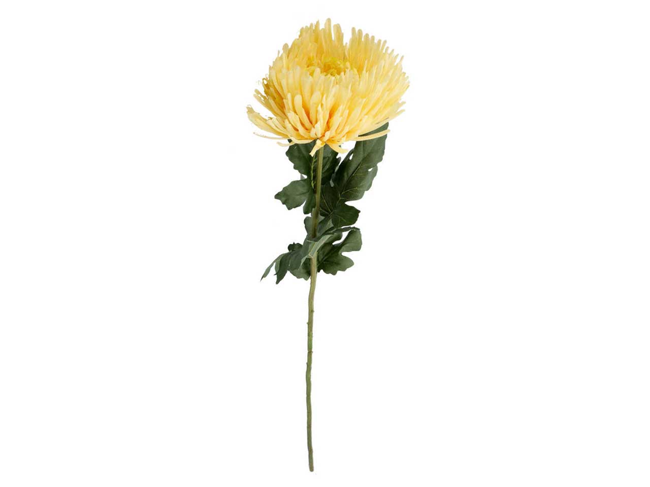 Crisantemo crema artificiale ramo semi rigido 91x19 cm - Conti