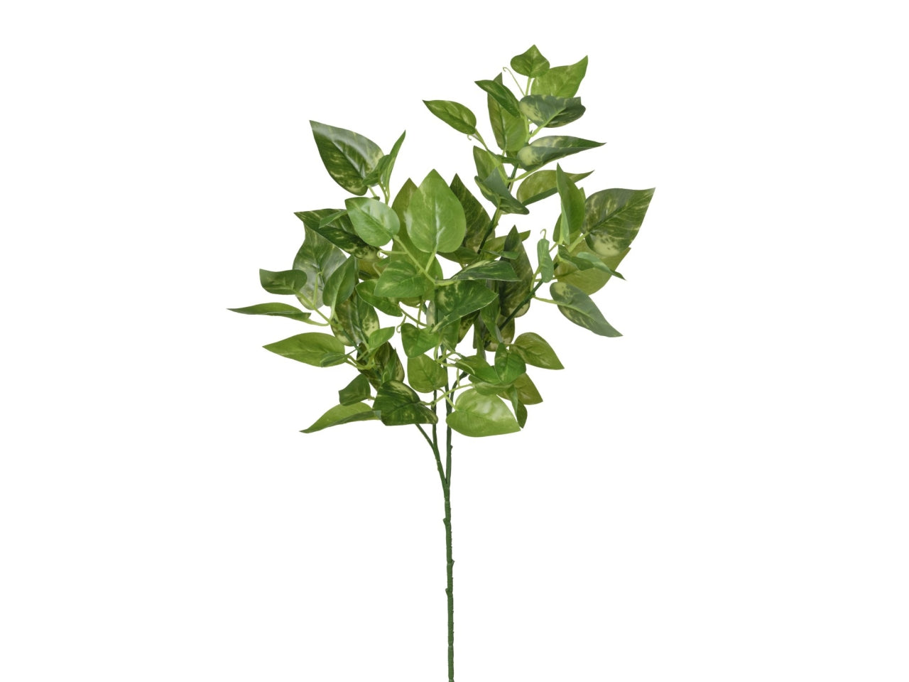 Ramo di pothos 65cm
