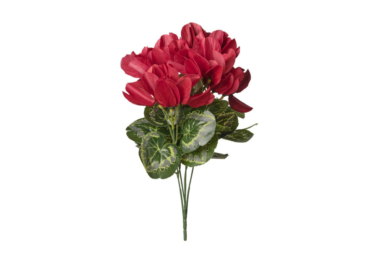 Mazzo di ciclamini rosso 35cm