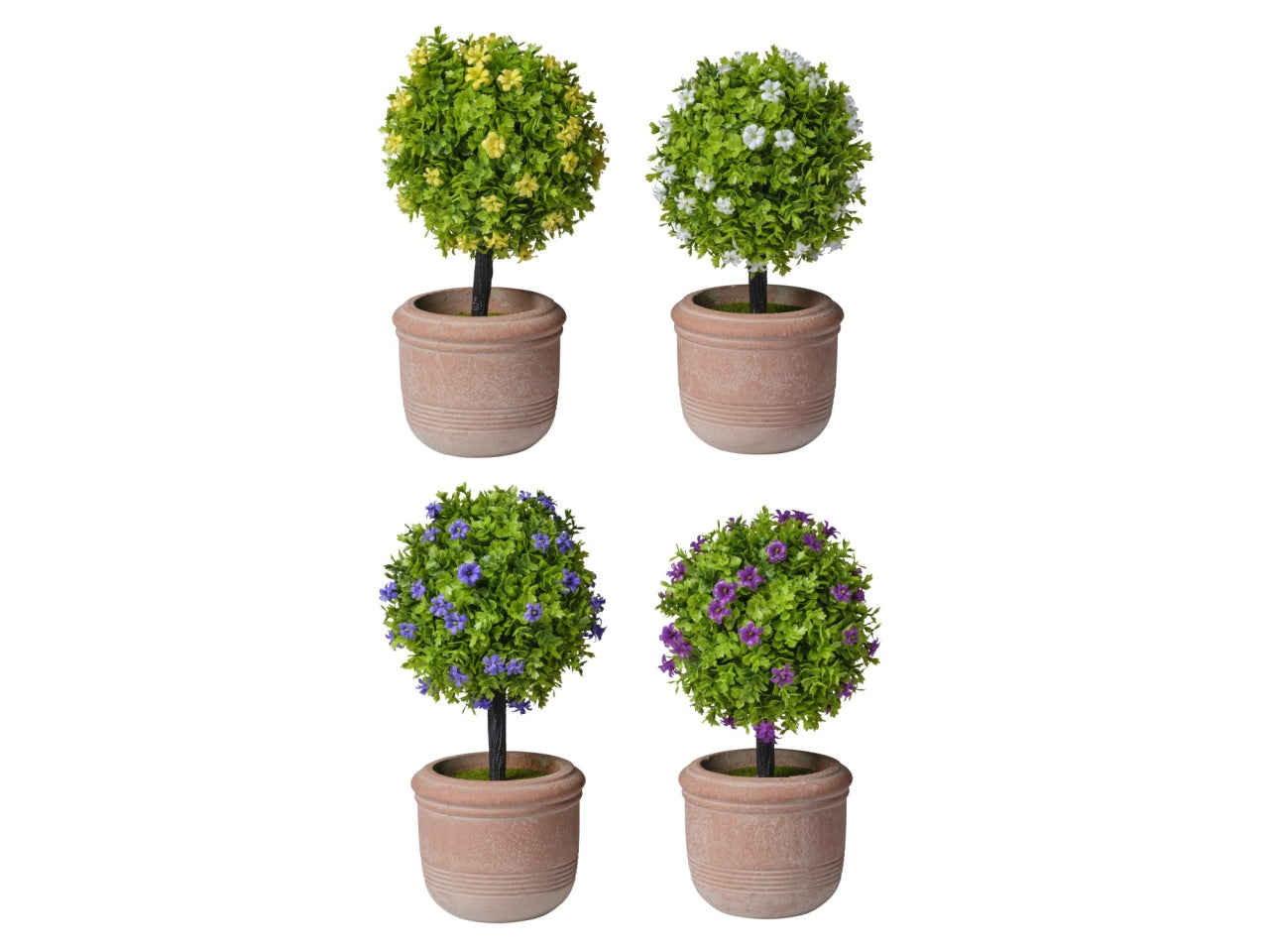 Piantina in vaso con fiorellini 10x20cm in 4 varianti di colori