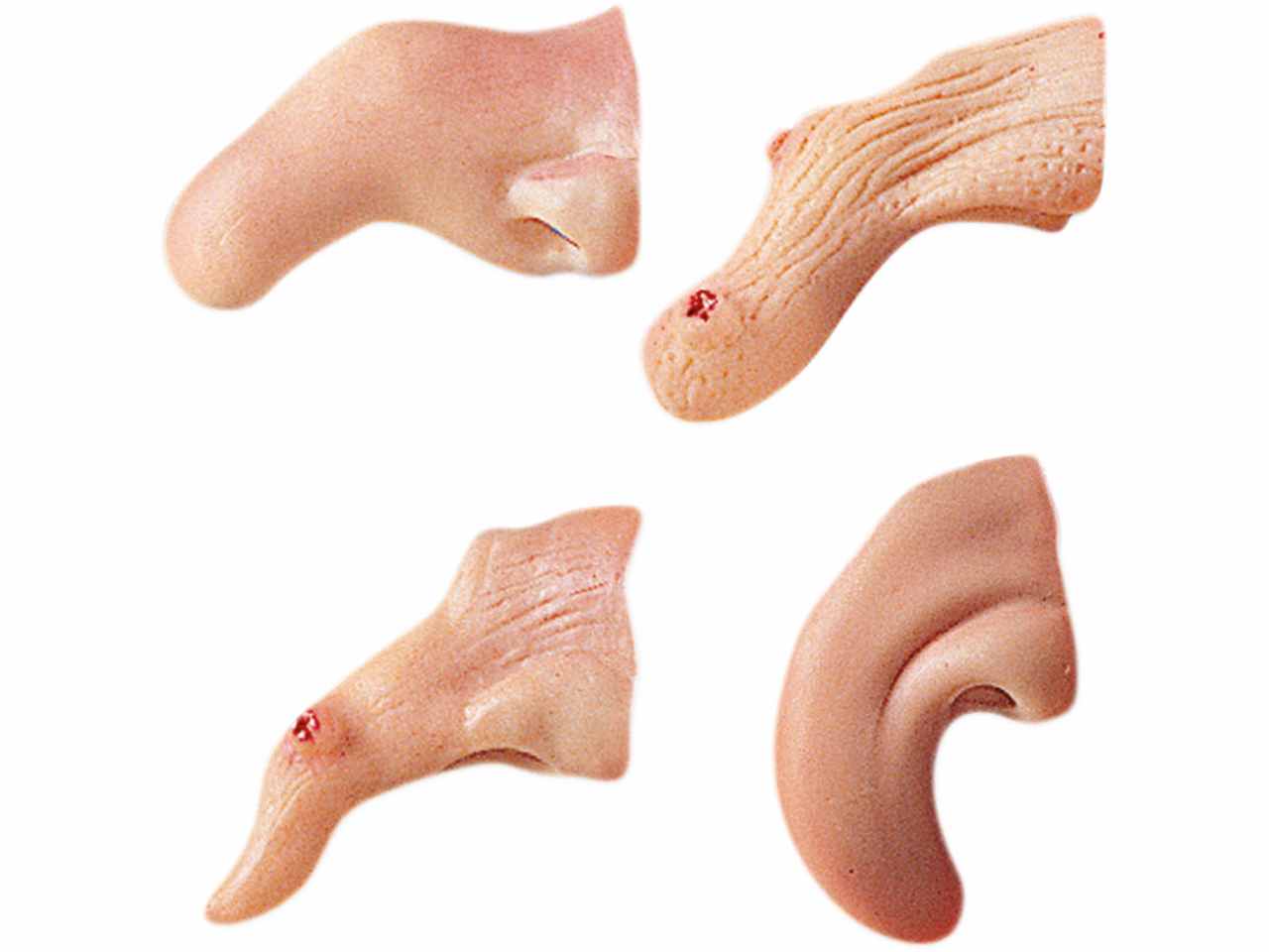 Naso da strega modelli assortiti