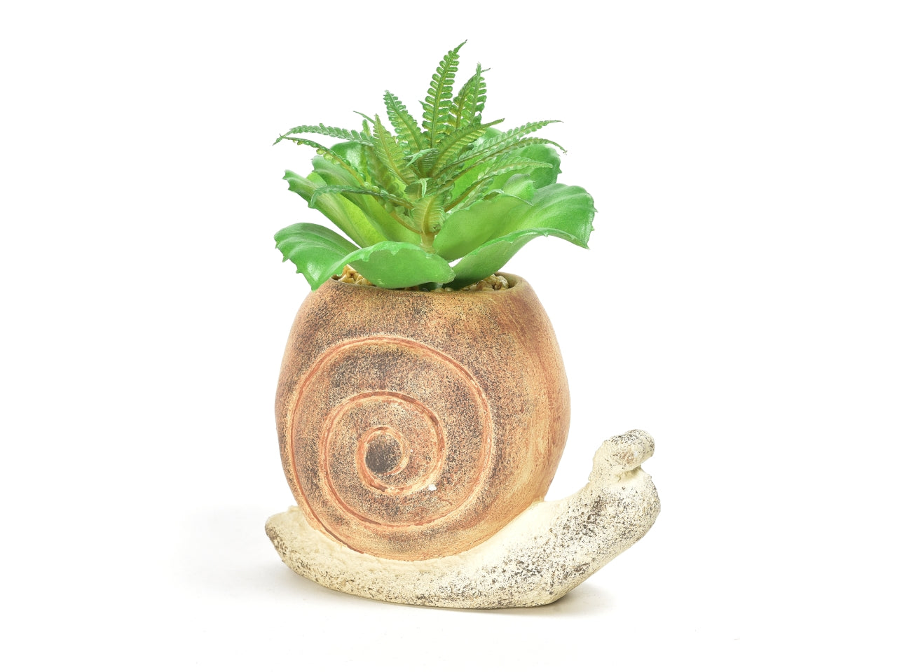 Piantina grassa in vaso di cemento a forma di chiocciola 15,5x8,5x20 cm - M Home