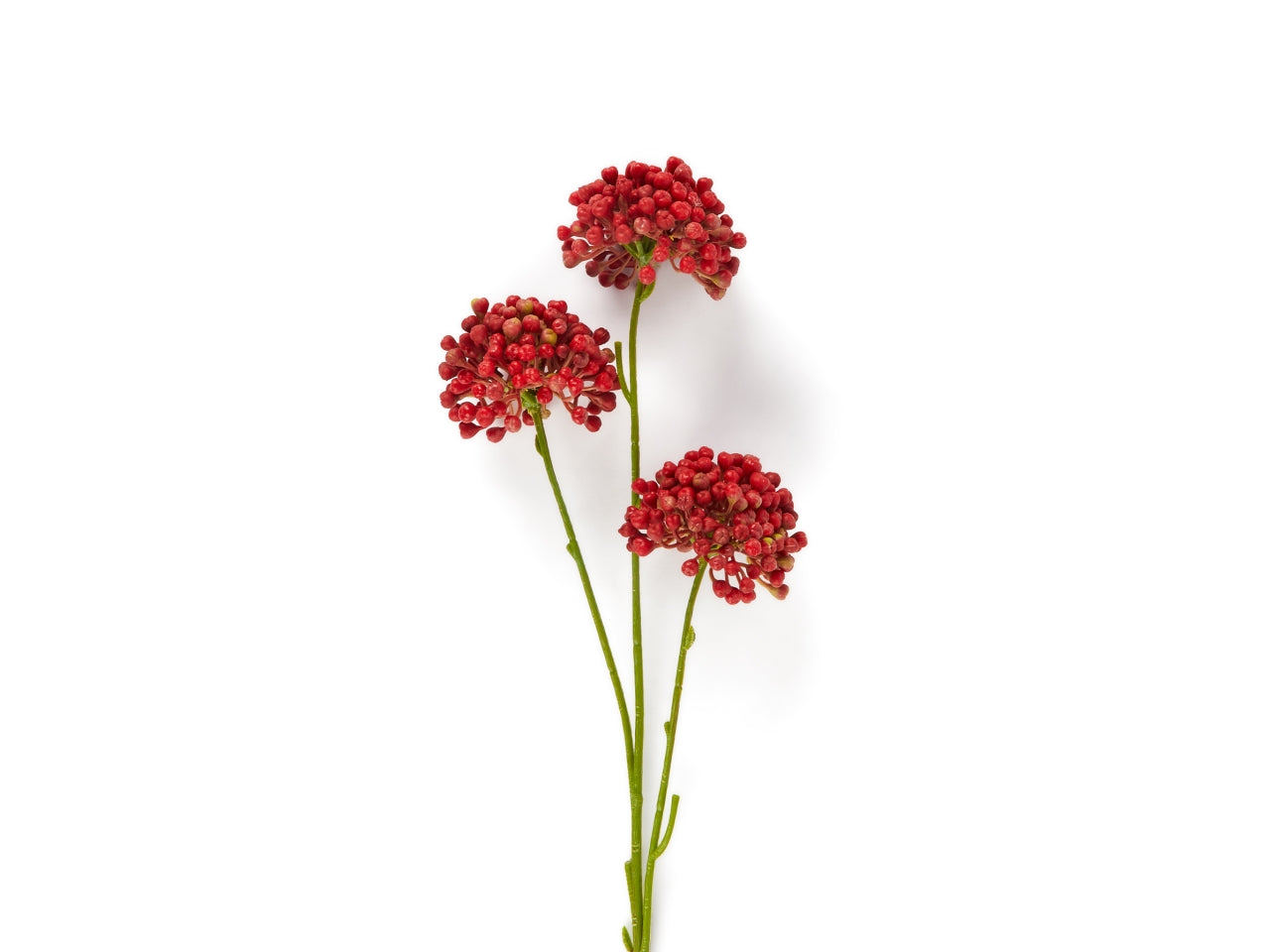 Boccioli di allium rossa in plastica h.60cm