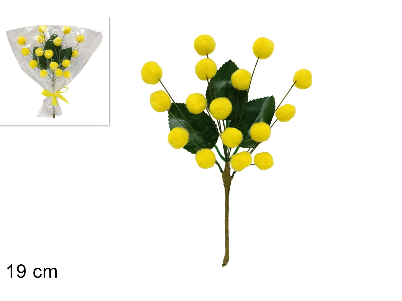 Rametto mimosa