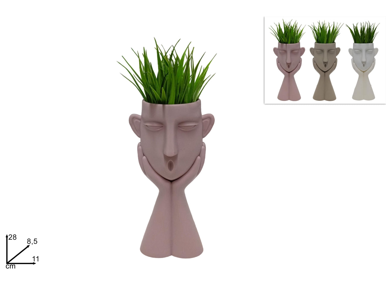 Vaso viso con mani e pianta grassa