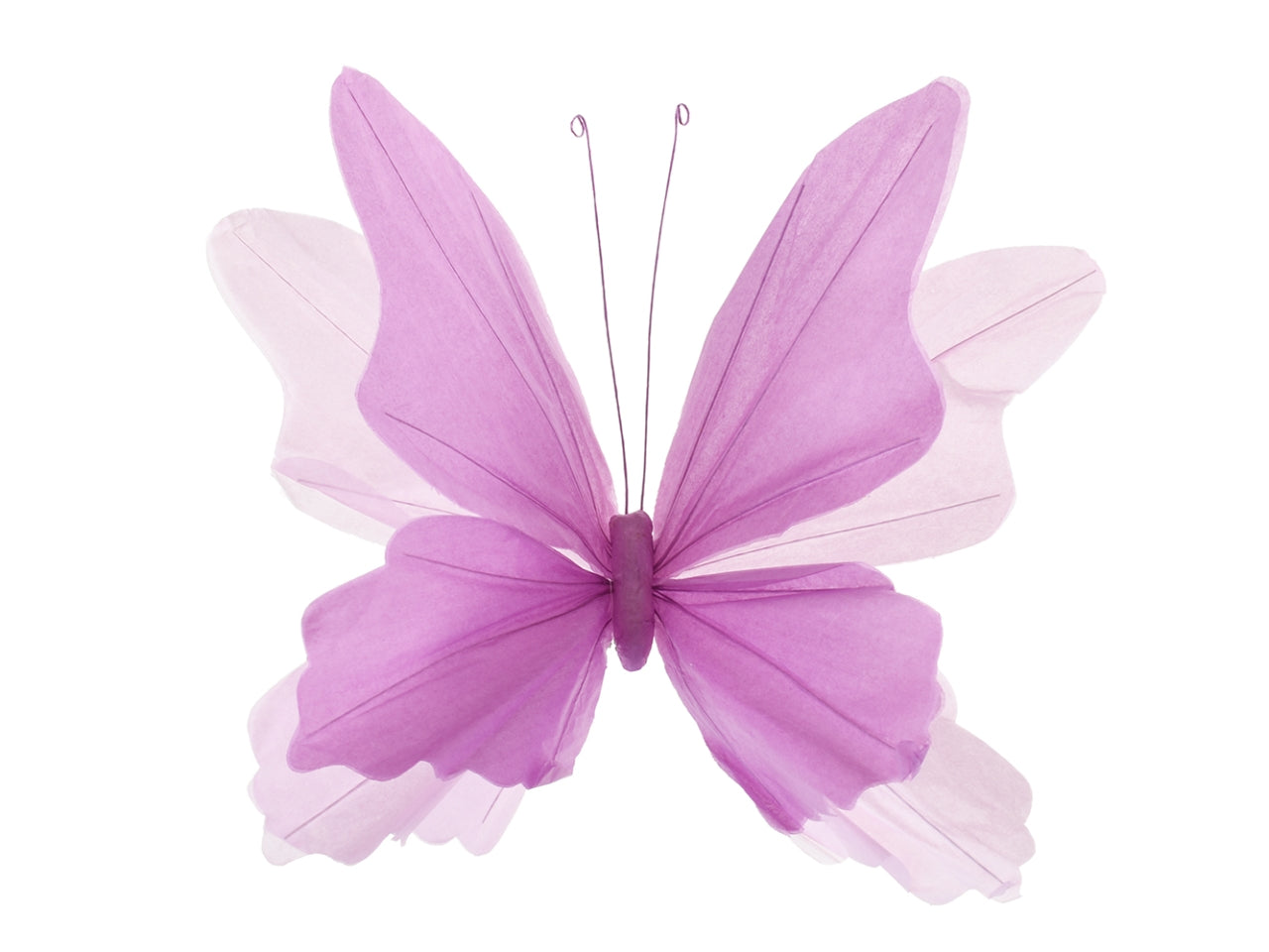 Farfalla carta 40x28cm