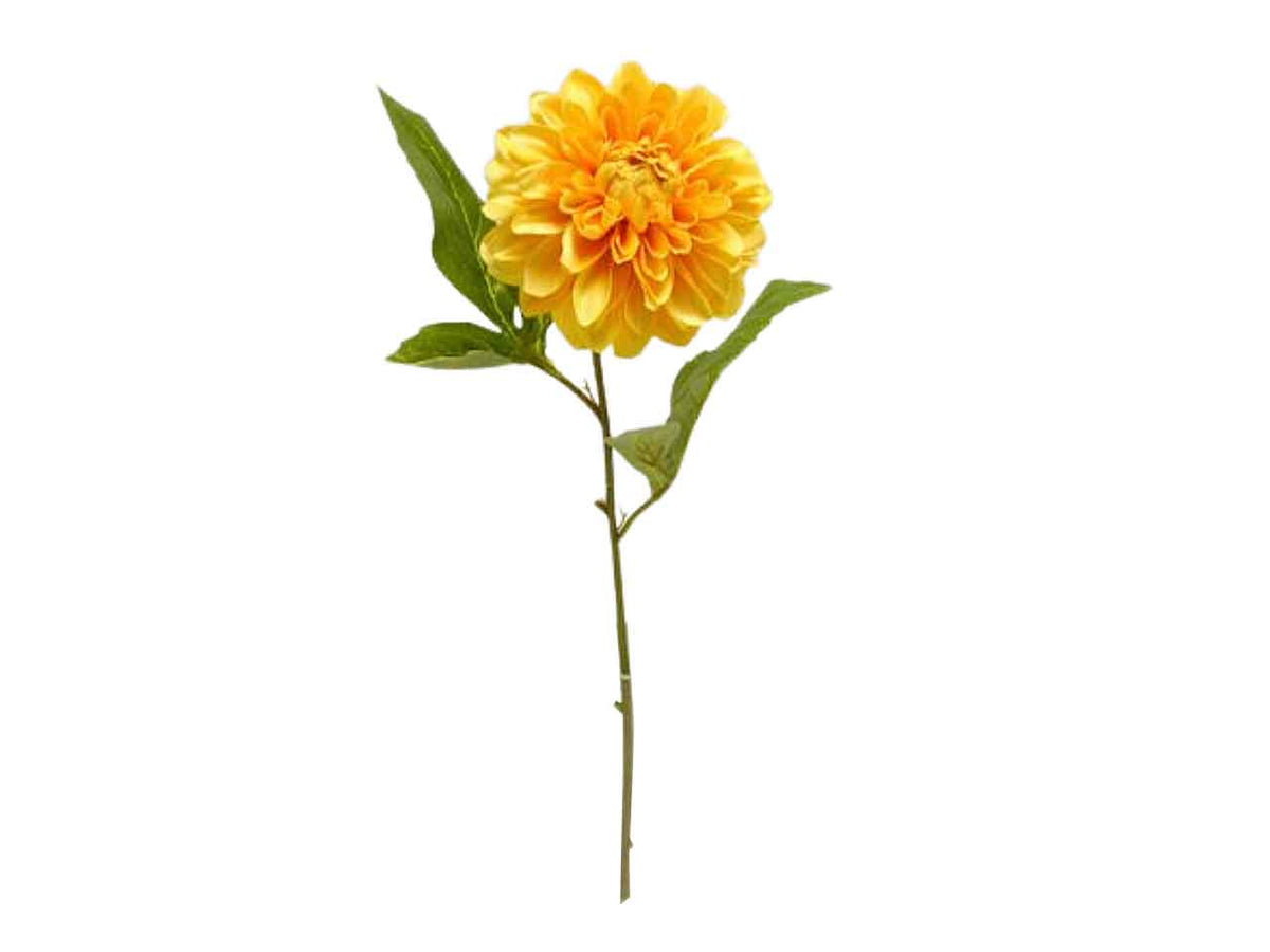 Dalia singola spruzzata colore giallo 49cm