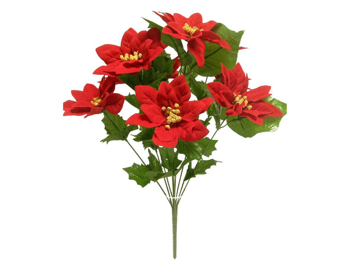 Mazzo stella di natale rossa 50cm con 10rametti