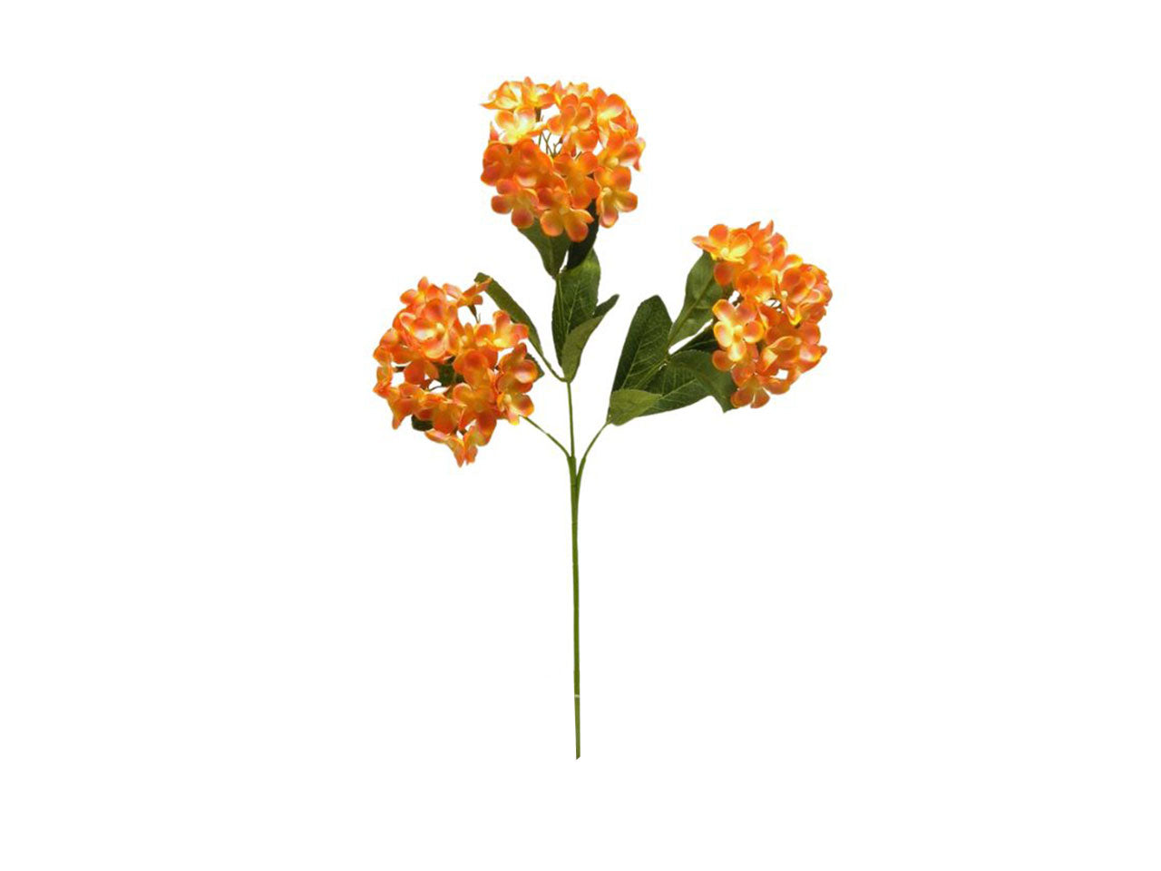 Palla di ortensia x3 cm70 orange
