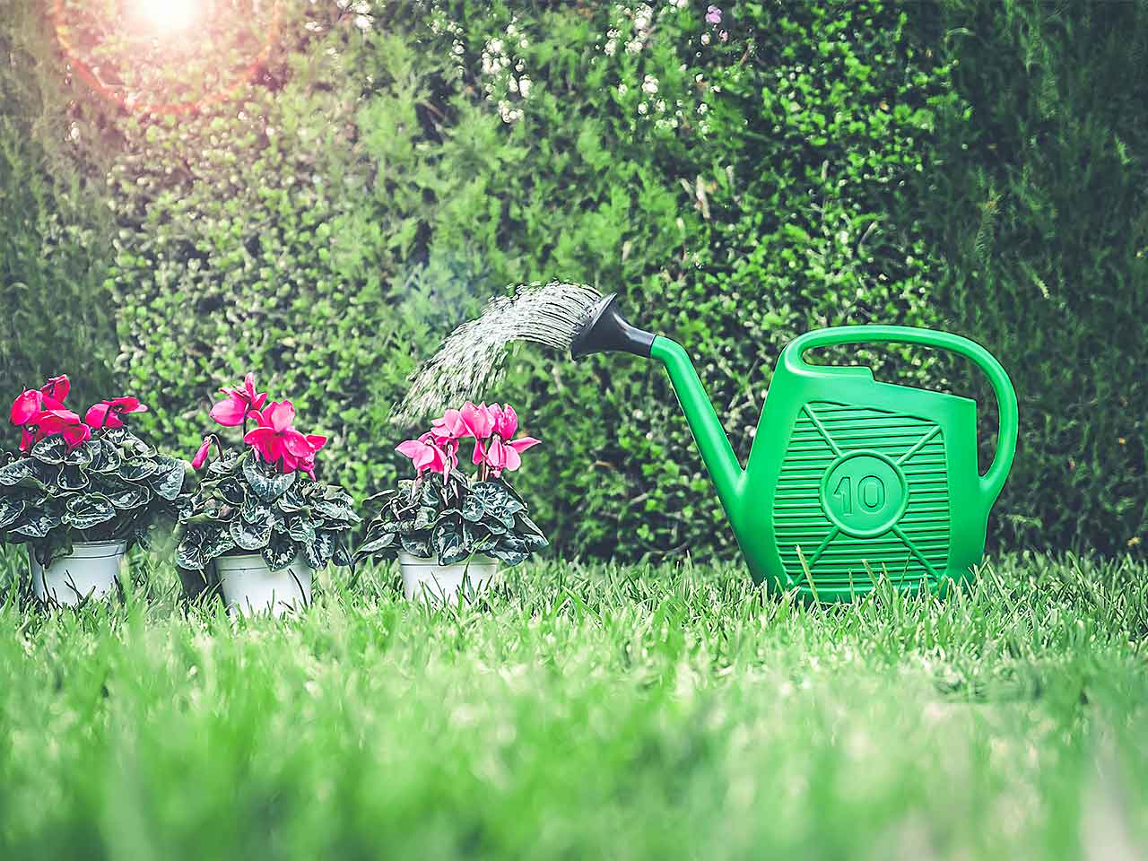 Annaffiatoio 10lt an10