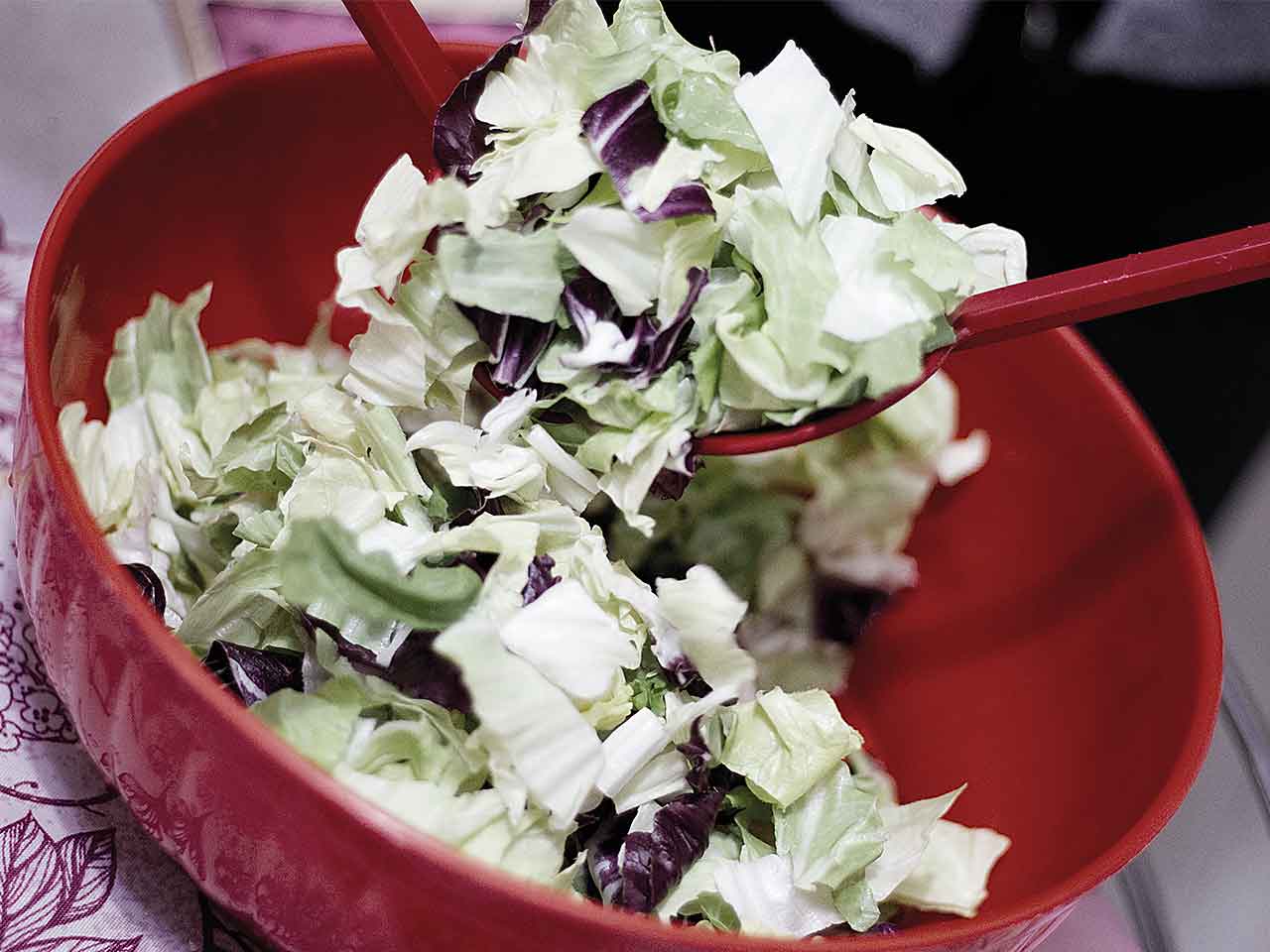 Insalatiera costolata d20 ins20