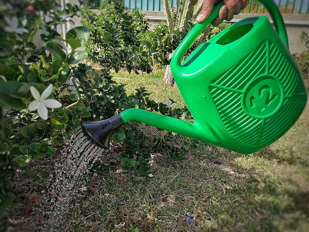 Annaffiatoio 12lt an 12