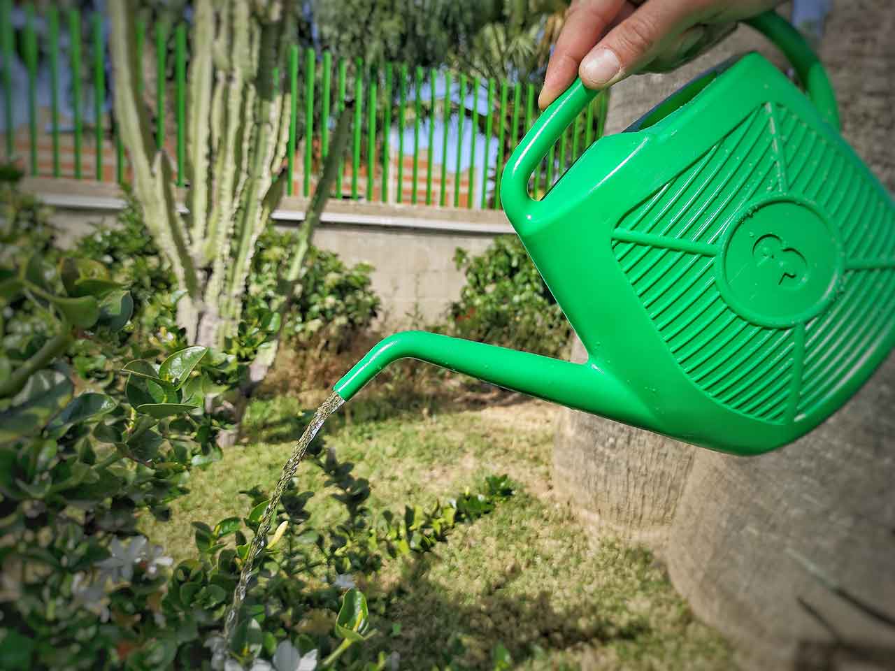 Annaffiatoio 3lt an3