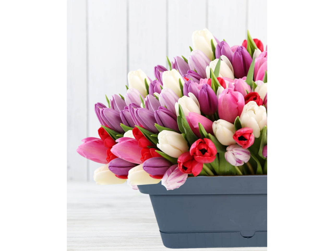 Balconetta - linea origine - 40 colore grigio antracite