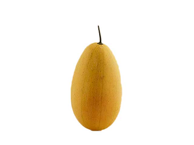 Melone l31xd13 giallo 250420,20