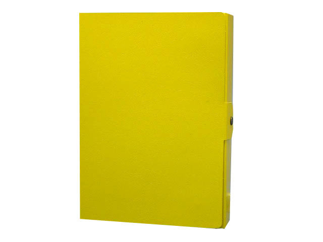 Portaprogetti Eurobox 25x35x8cm giallo
