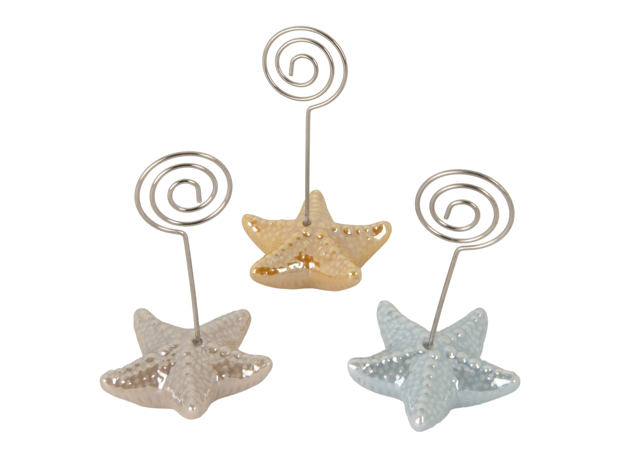 Stella marina in porcellana clip h.9cm 3 assortimenti