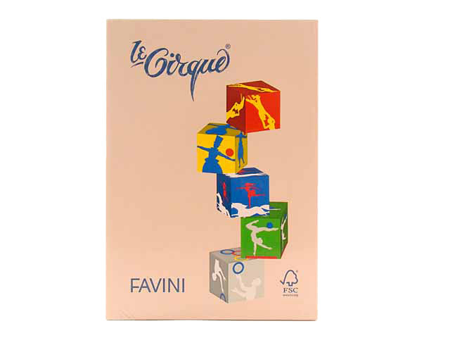 Risma fogli A4 Favini in colore salmone 210x297mm 80gr