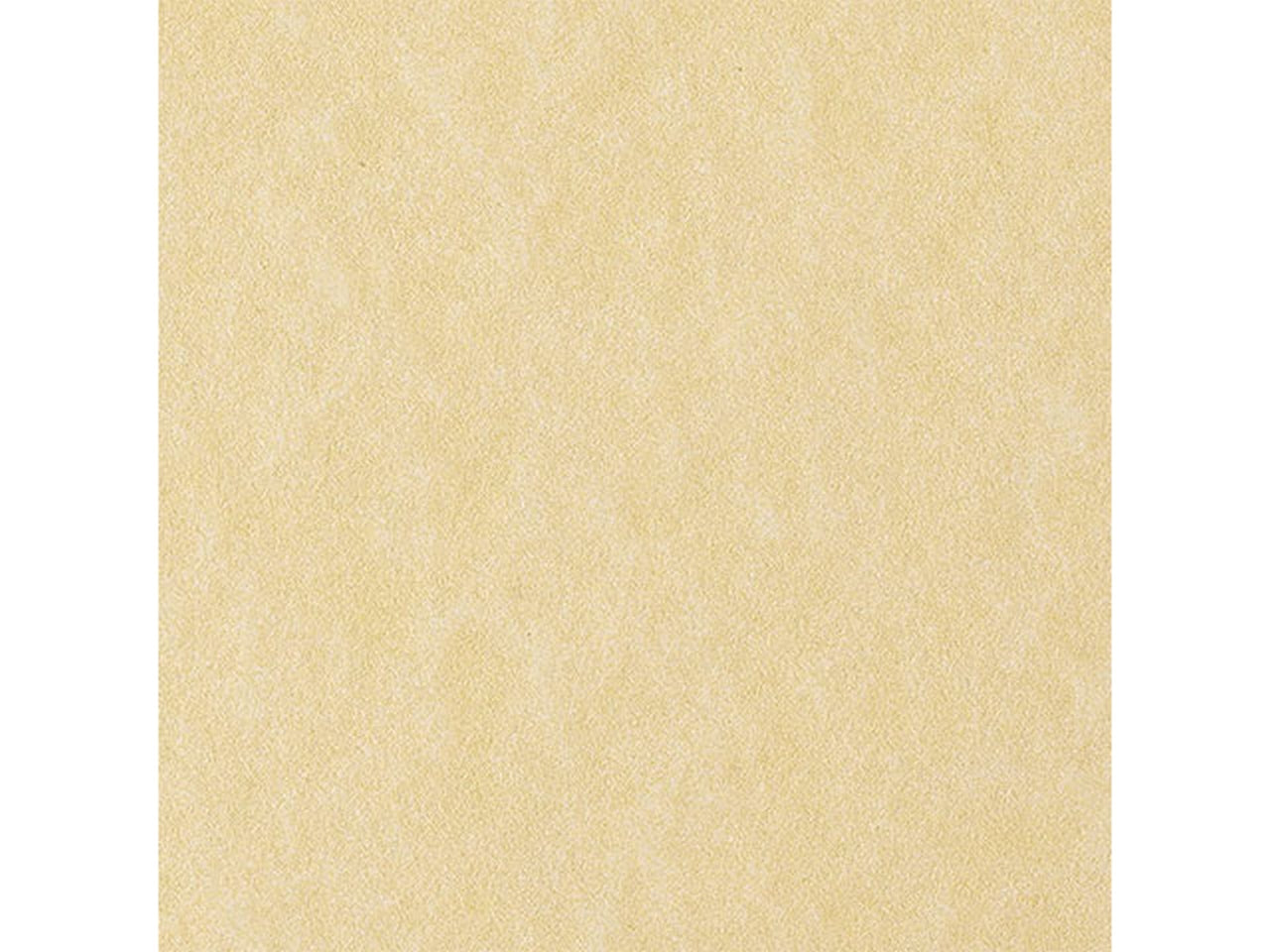 Foglio pergamena Favini in carta crema 90gr A4