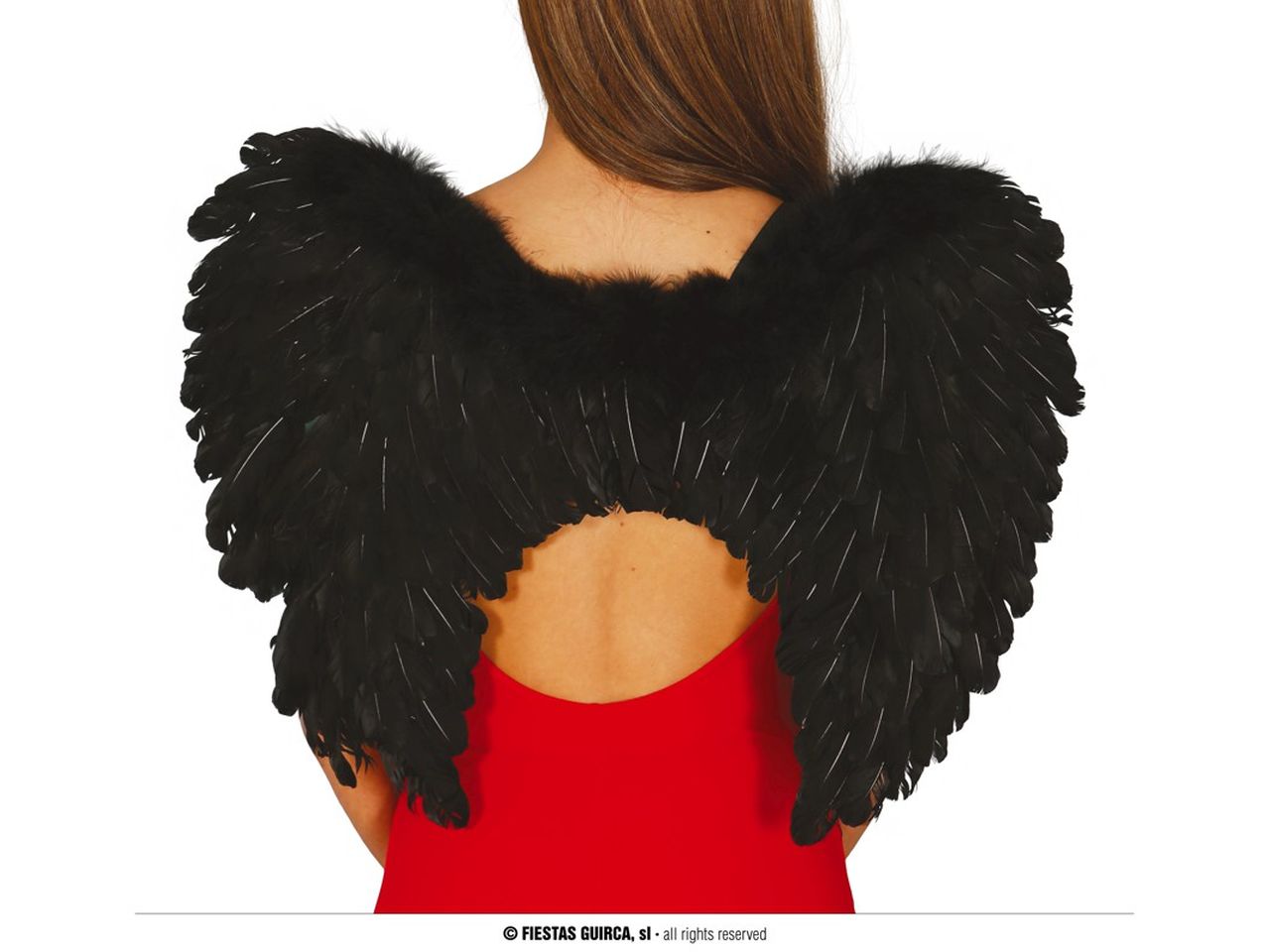 Ali piume nere 60x40 cm