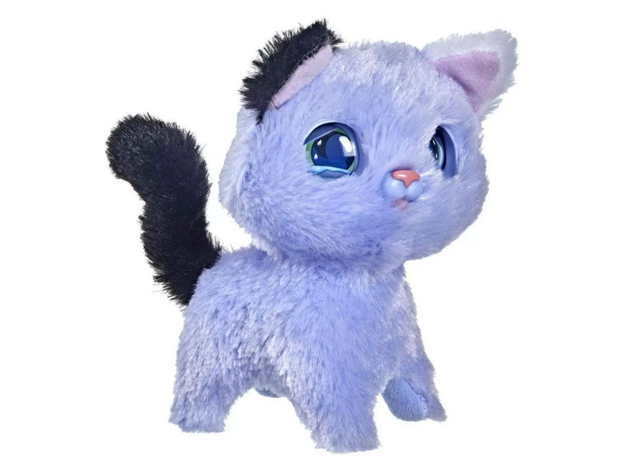 Fur real my expressive kitty