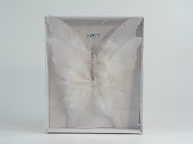 Farfalle box 2 clip 24cm carta/porta 18810