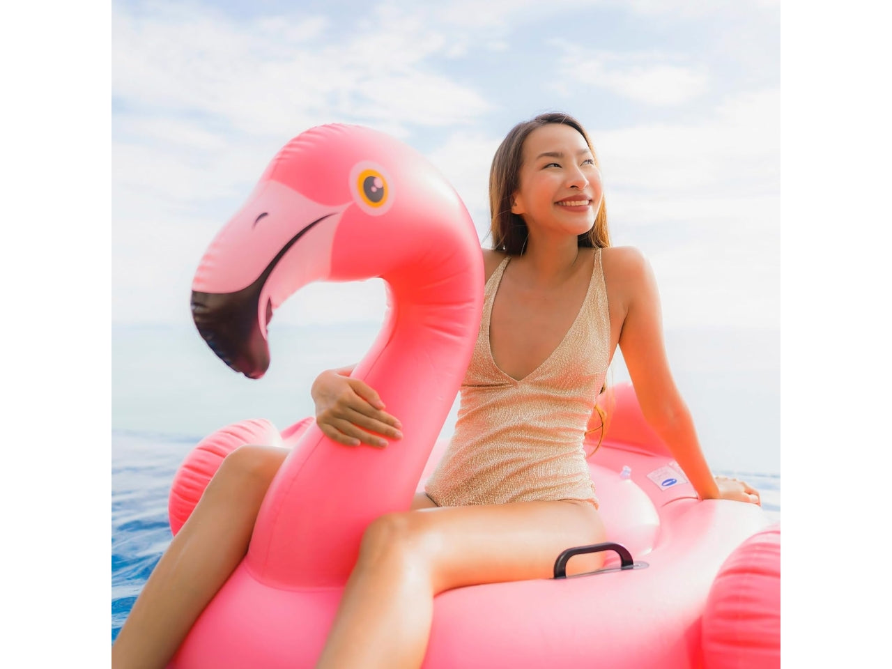 Cavalcabile fenicottero 147x140x94 cm