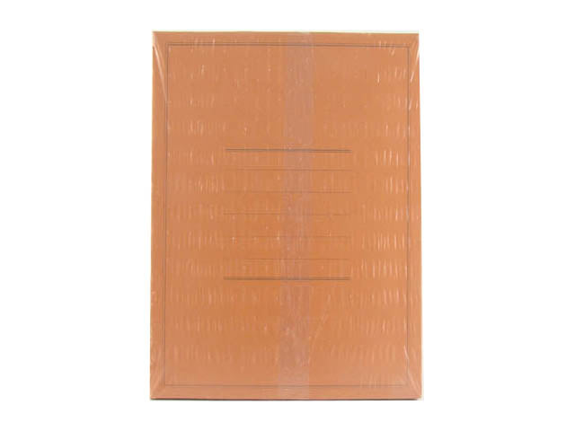 Cartelle semplici eco 50 pezzi 0221803ar